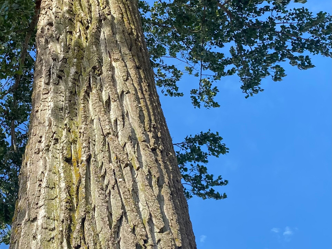 Sunset Beach-圣凯瑟琳斯必去景点