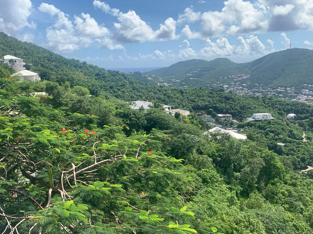 Big Love Taxi-夏洛特阿马利亚必去景点