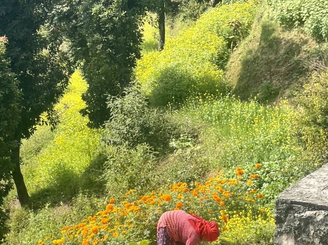 Nagarkot Buddha Peace Park Hiking Trail-纳加阔特必去景点