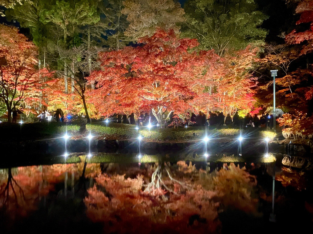 Sogi Park-土岐市必去景点