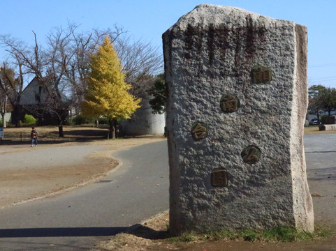 Shonandai Park-藤泽市必去景点