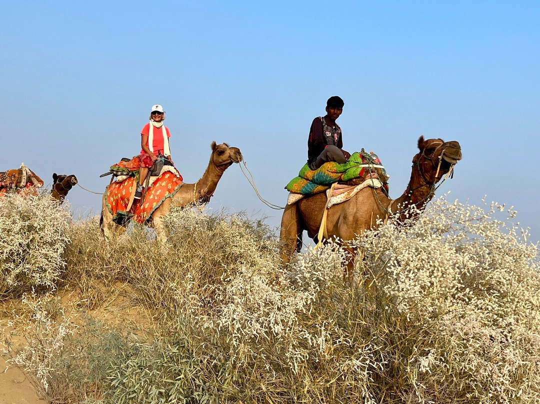 Renuka Camel Safari-杰伊瑟尔梅尔必去景点