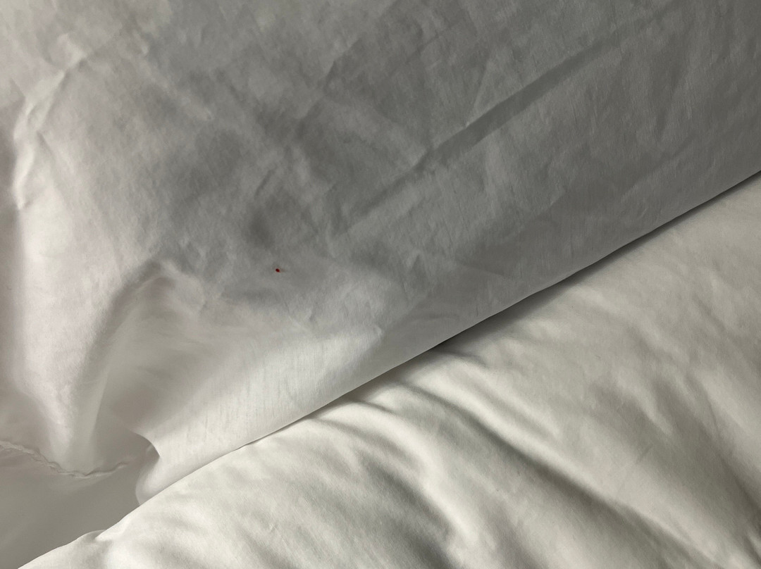 Hampton Inn & Suites Ft. Lauderdale West-sawgrass/tamarac主图