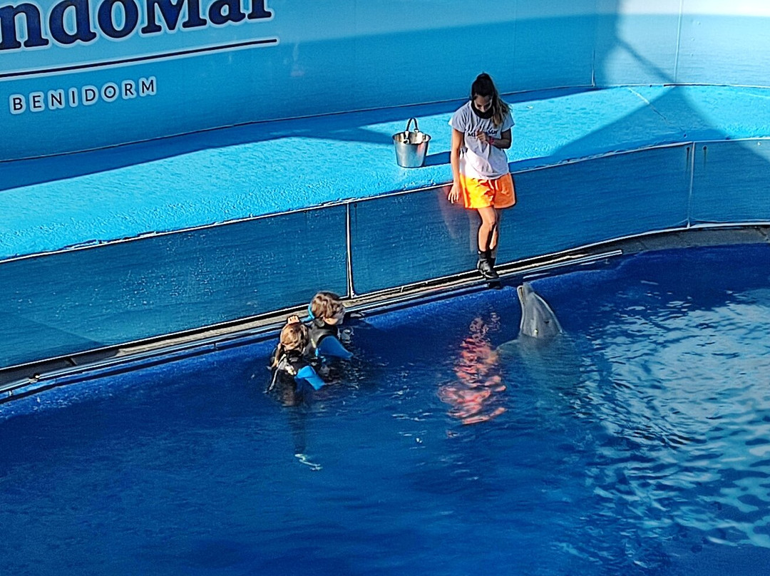 海洋世界水族馆景点图片