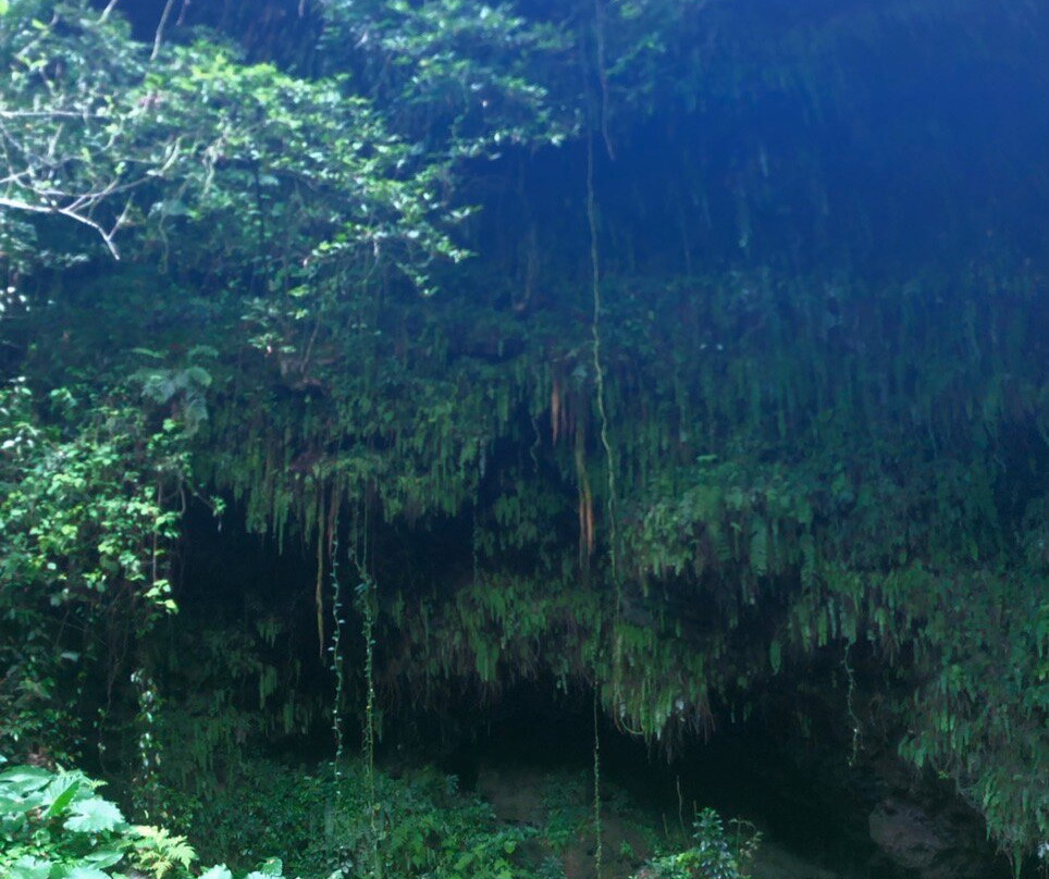 海口石山火山群-海口市必去景点
