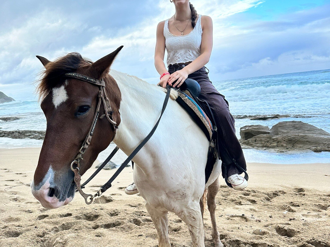 Tropical Trail Rides - Isabela-Isabela必去景点