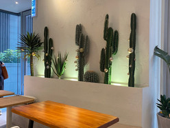 Gallery 4
