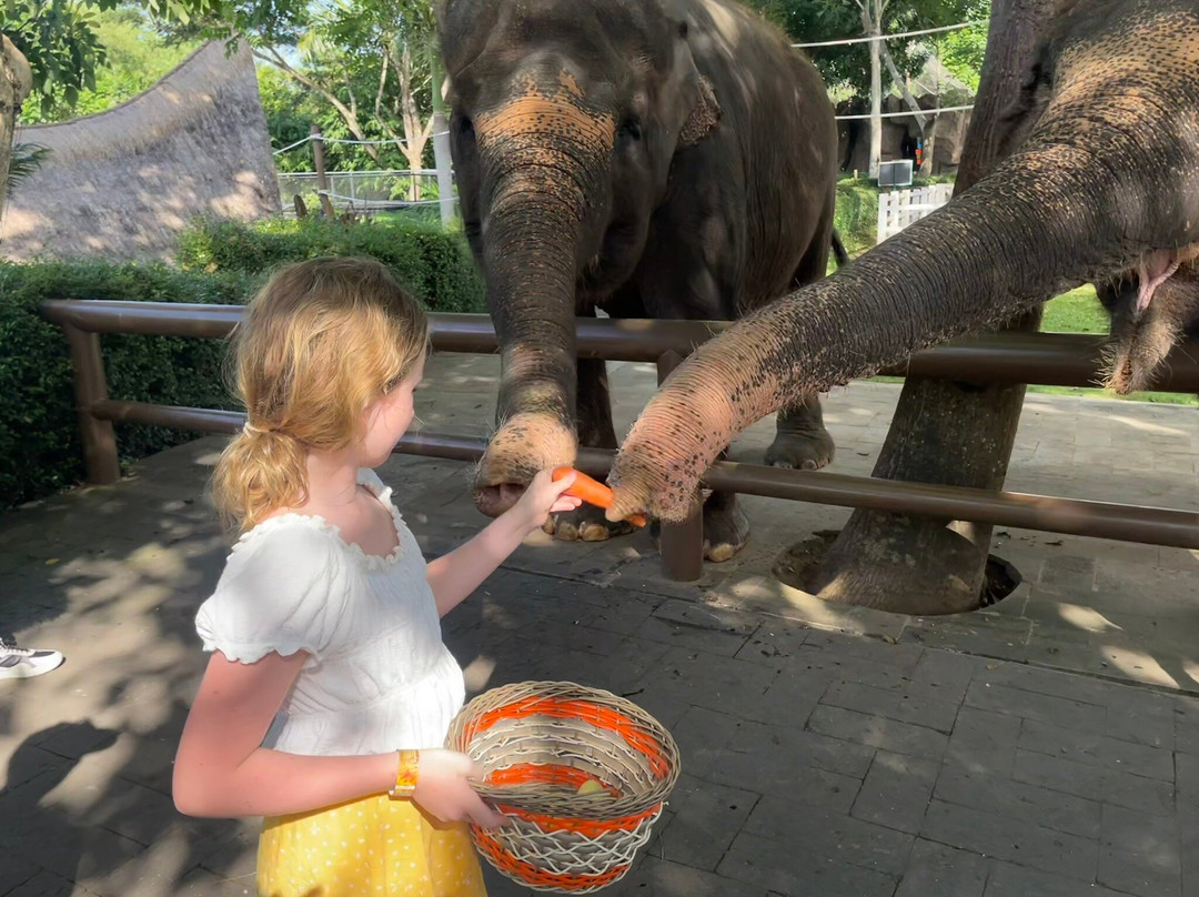 Bali Zoo Breakfast With Orangutan景点图片