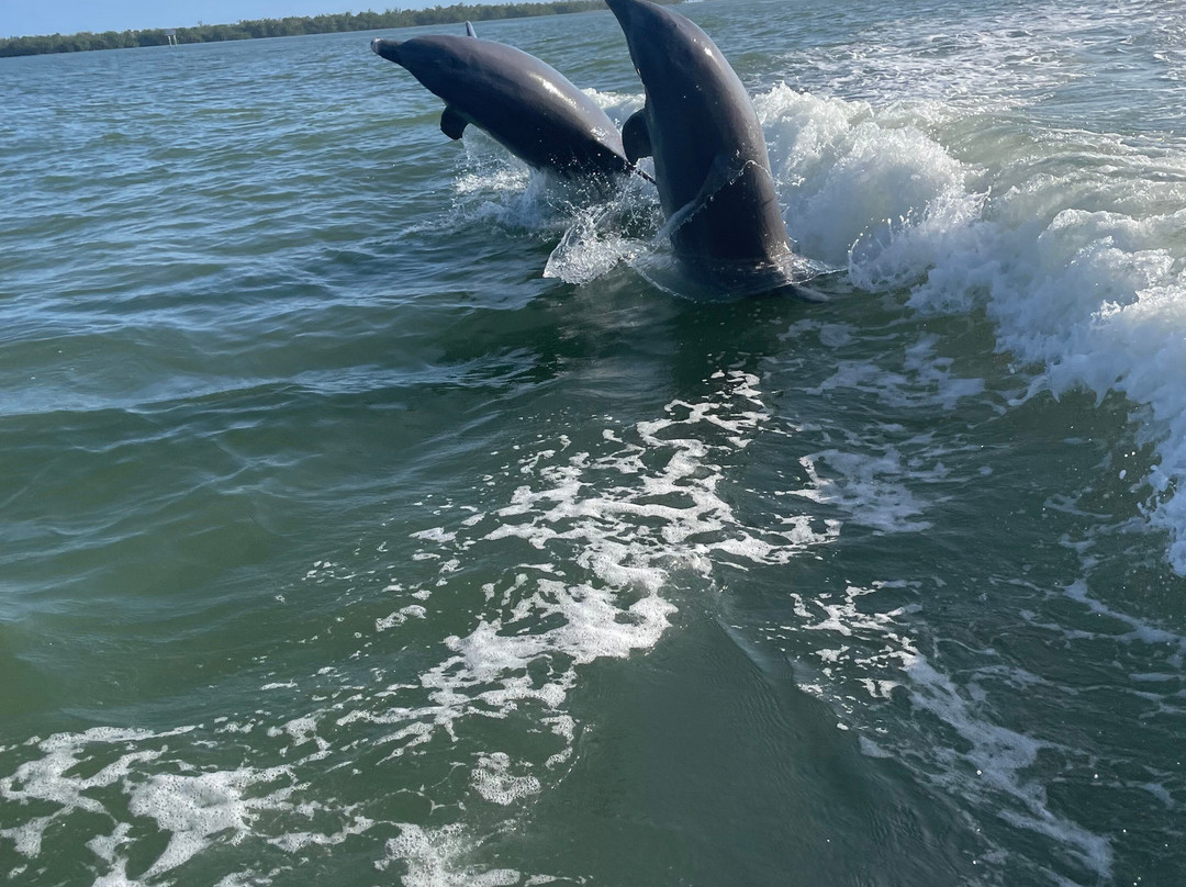 Eco Endeavors-Goodland必去景点