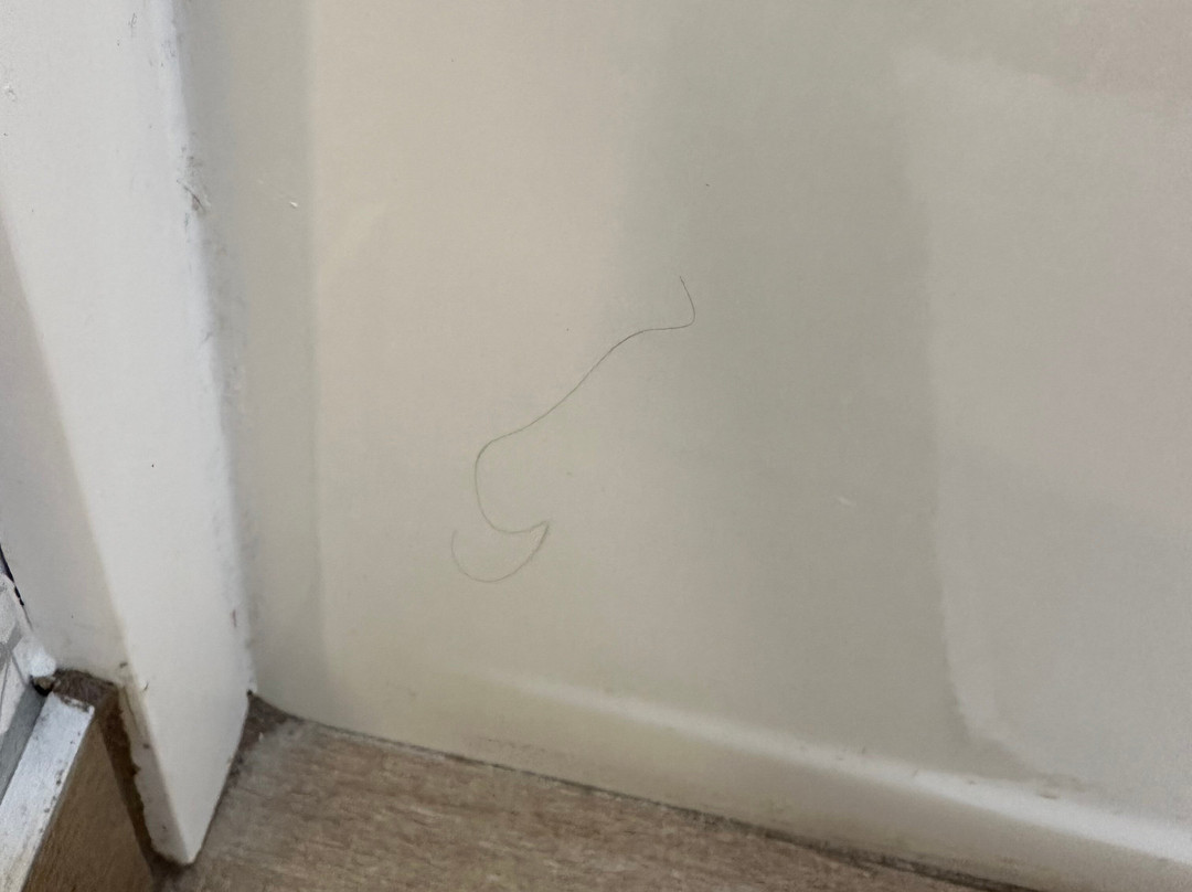 Hampton Inn & Suites Gainesville主图