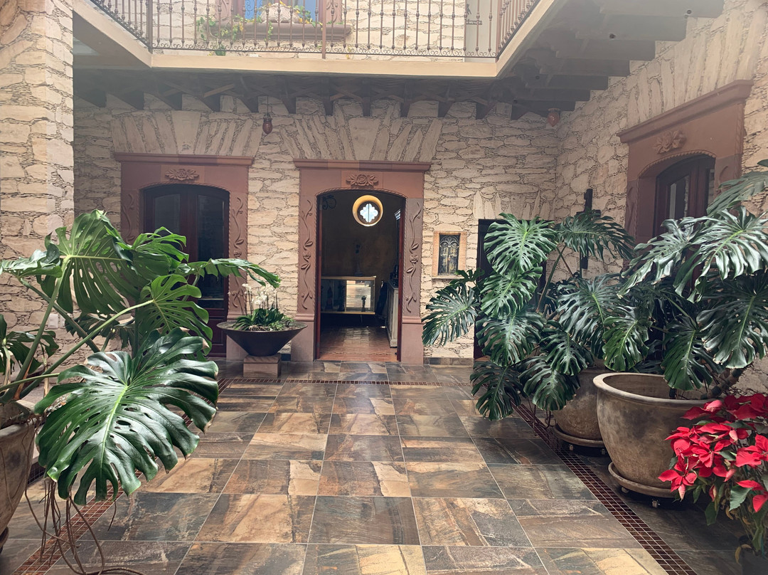 Hotel La Villa De Pozos主图