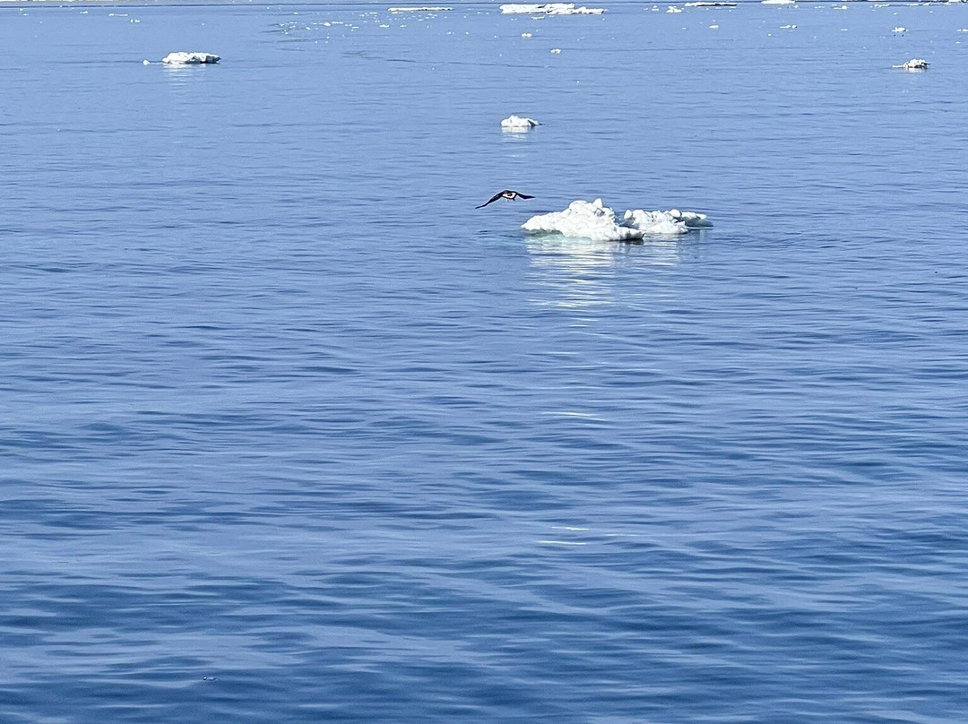 Garinko III IMERU-纹别市必去景点