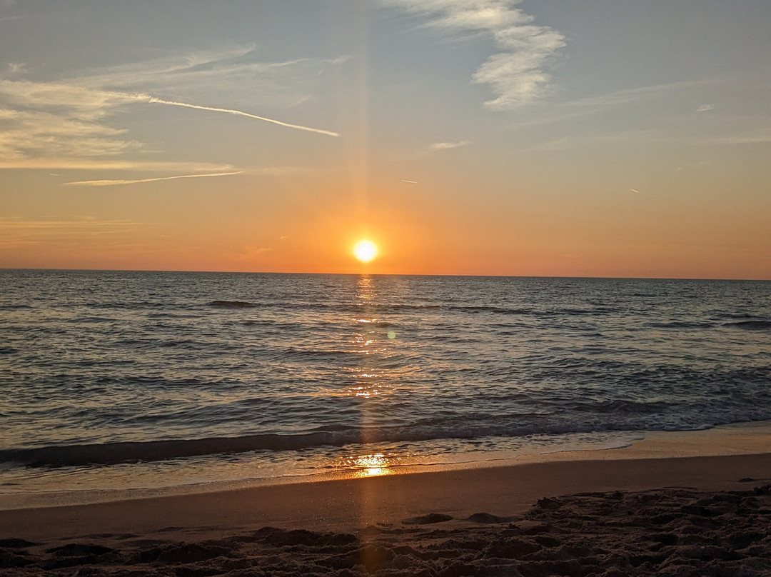 Siesta Key Bungalows主图