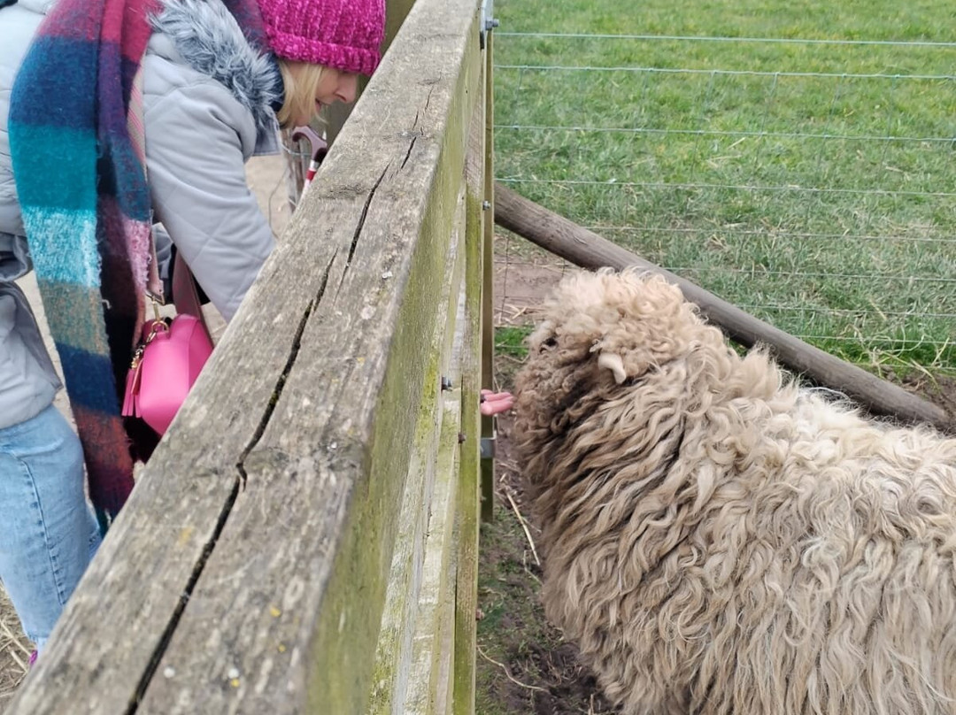 Apple Cast Farm-Newburgh必去景点