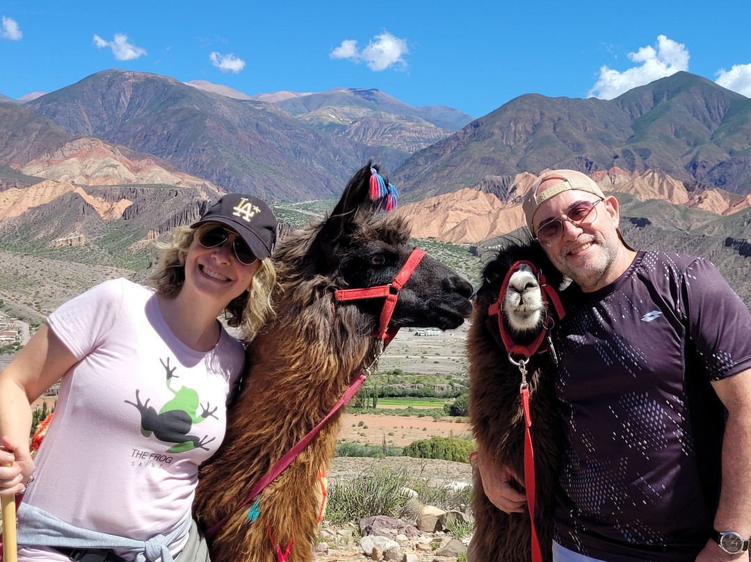Caravana de Llamas景点图片