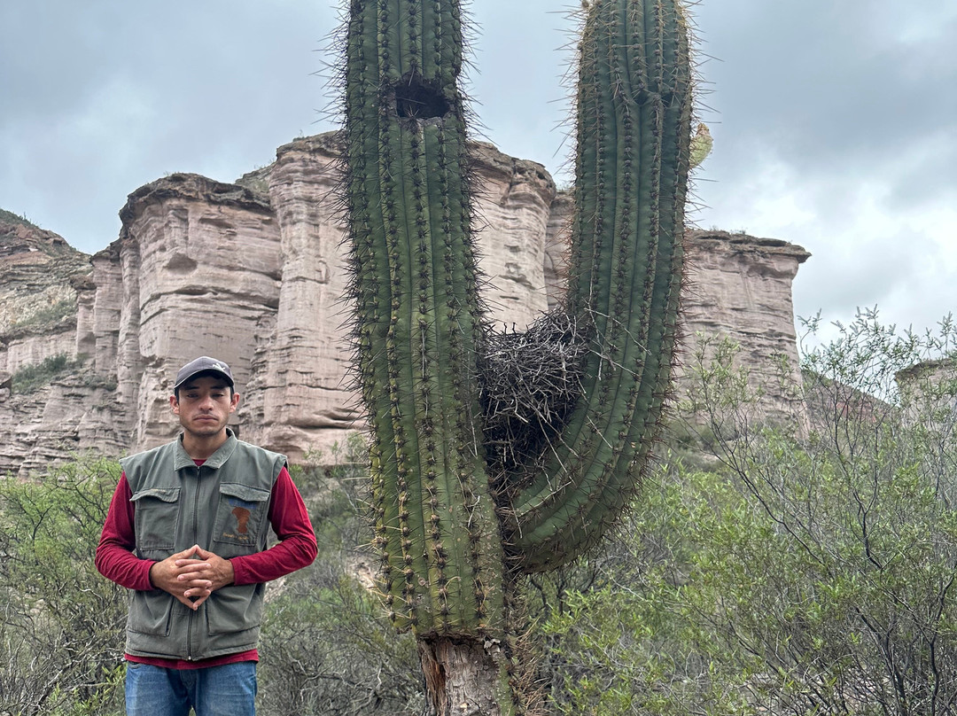 Parque Provincial El Chiflon-拉里奥哈必去景点