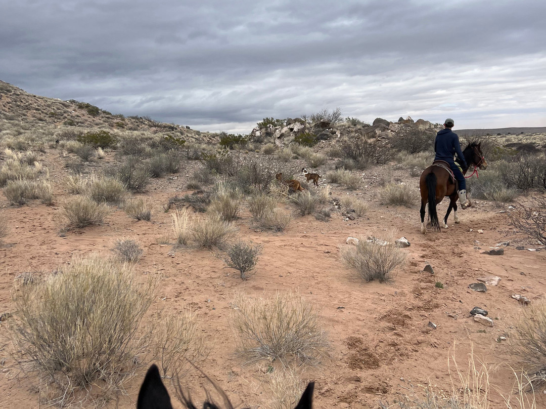 Acacia Riding Adventures-San Acacia必去景点
