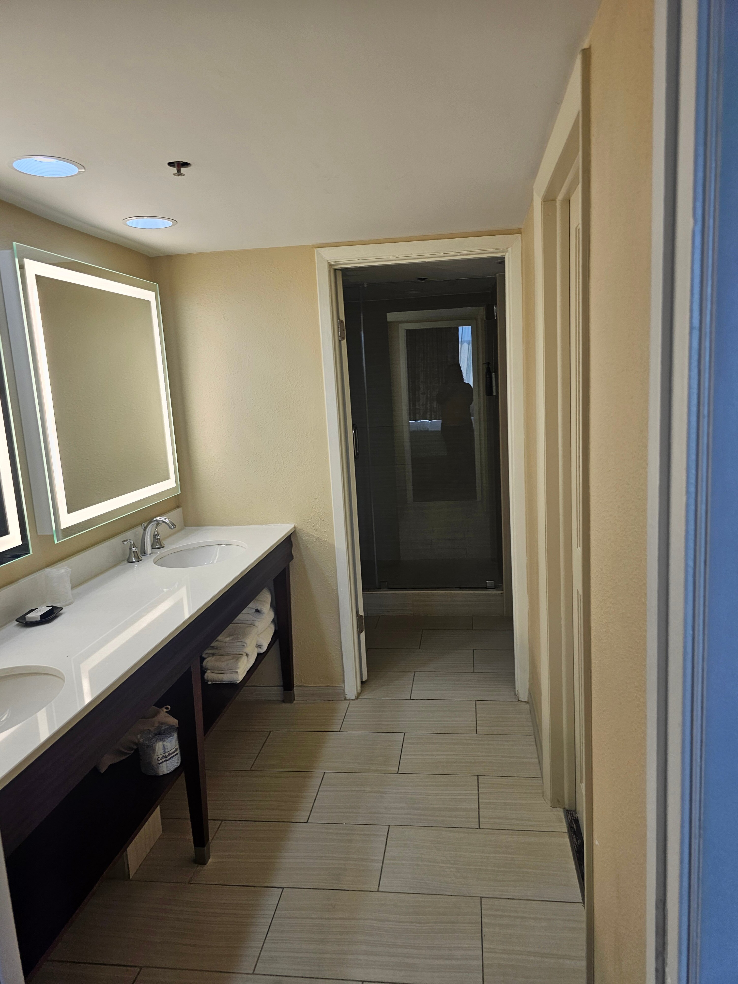 Sheraton Tampa Brandon Hotel-浴室