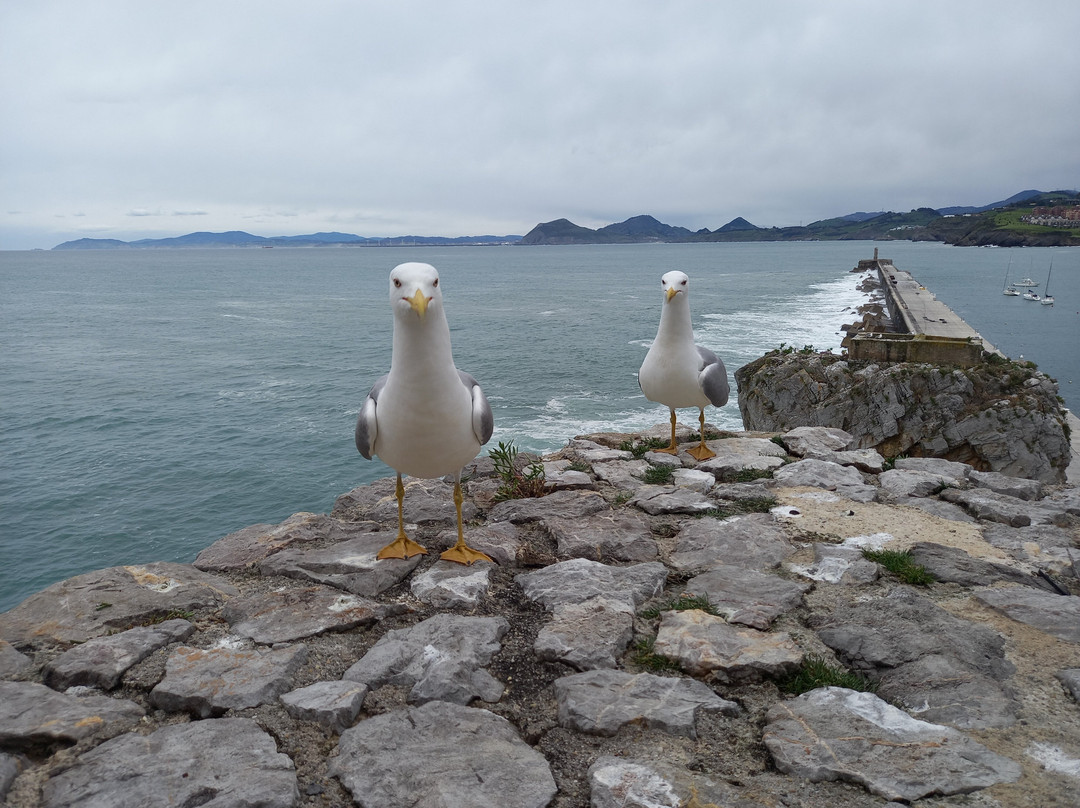 Faro y Castillo de Santa Ana景点图片