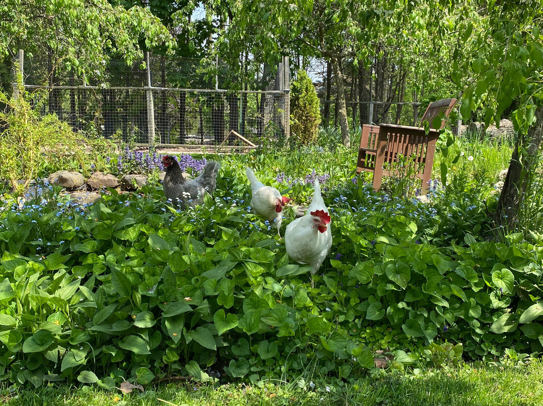 Applewood Hollow Bed and Breakfast主图