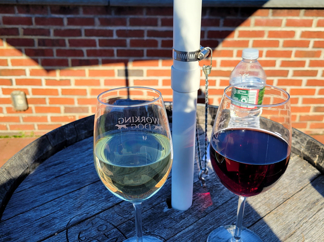 Working Dog Winery-东温莎必去景点