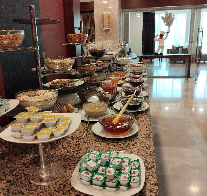 Ramada Plaza By Wyndham Malatya Altin Kayisi主图