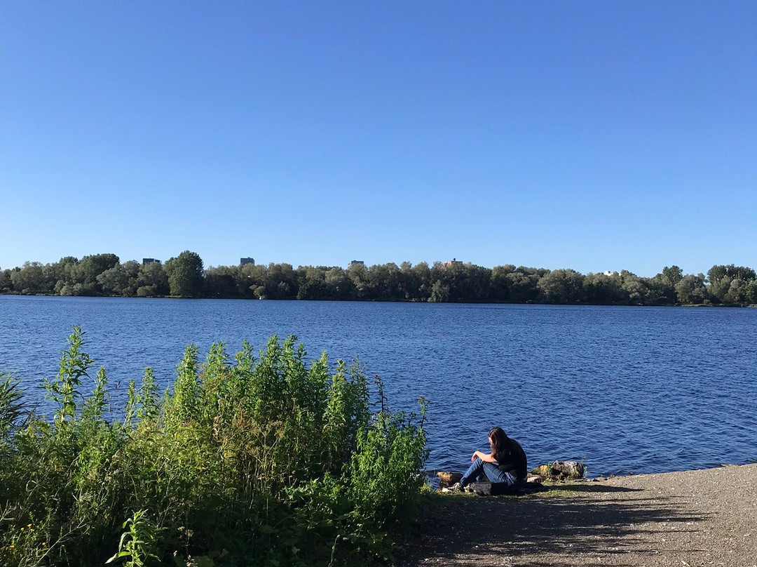 Park de Oeverlanden-阿姆斯特丹必去景点