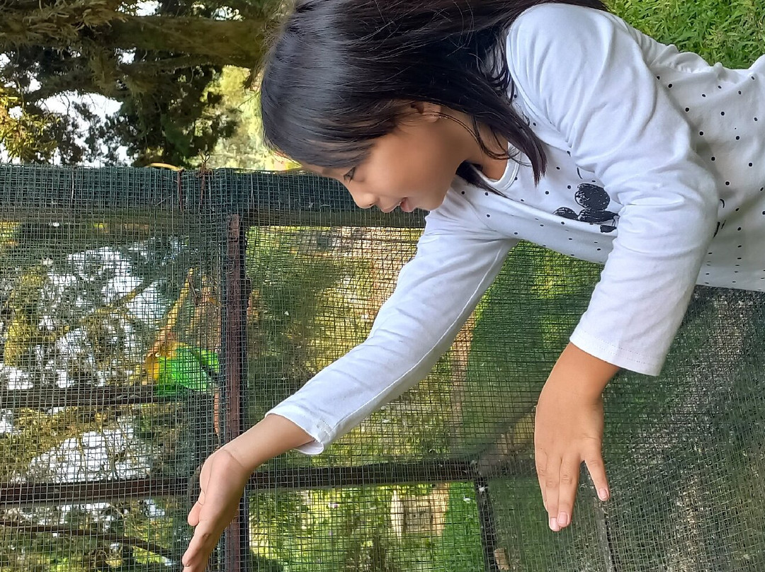 伦邦阿斯利度假酒店主图