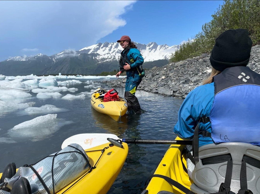 Bear Glacier-苏厄德必去景点