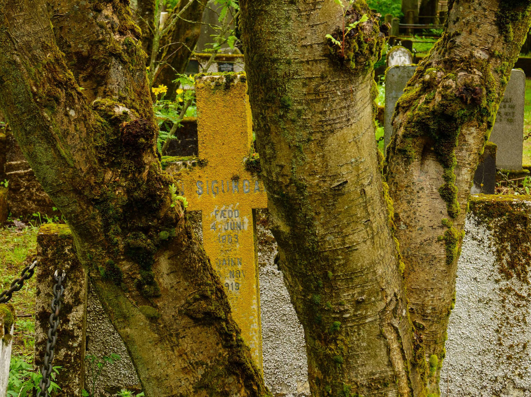 Cemetery Holavallagardur-雷克雅未克必去景点