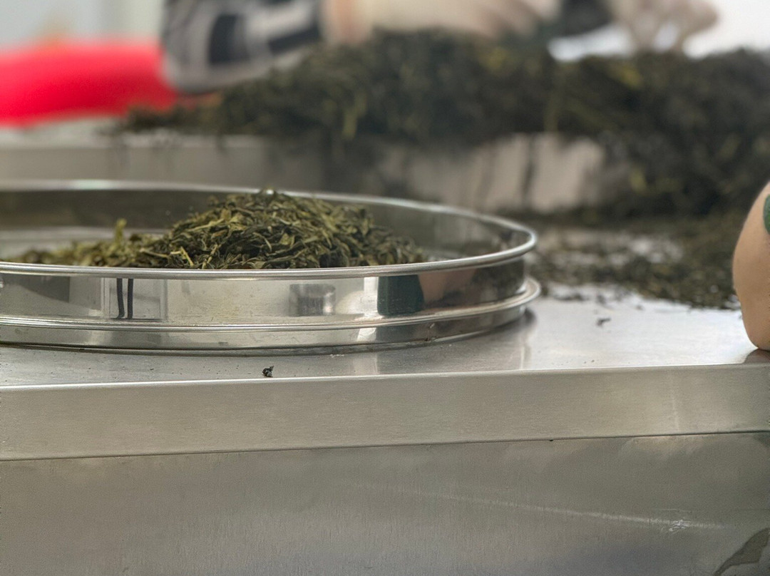 Renegade Tea Factory & Estate-库塔伊西必去景点