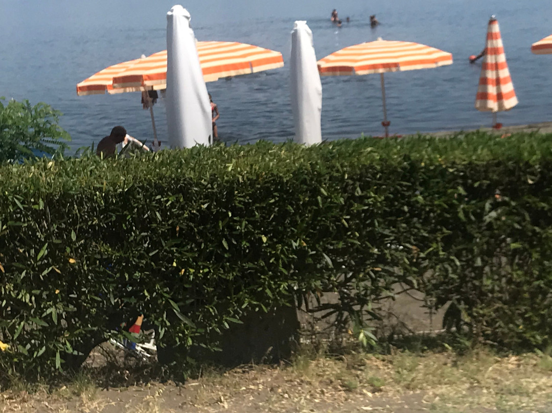 Vigna Di Valle主图