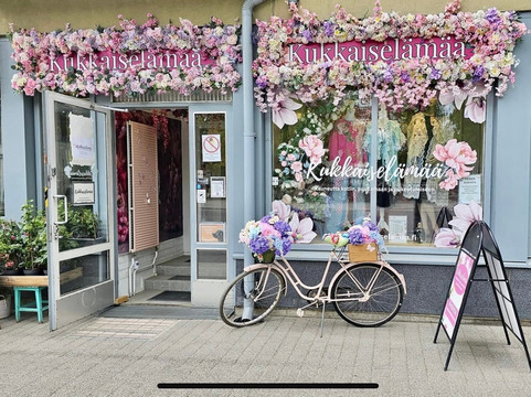 Kukkaiselämää-拉彭兰塔必去景点