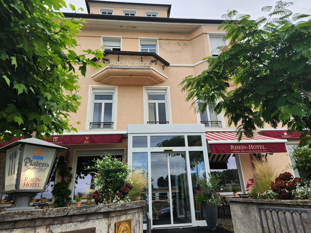 尼尔斯泰恩莱茵酒店主图