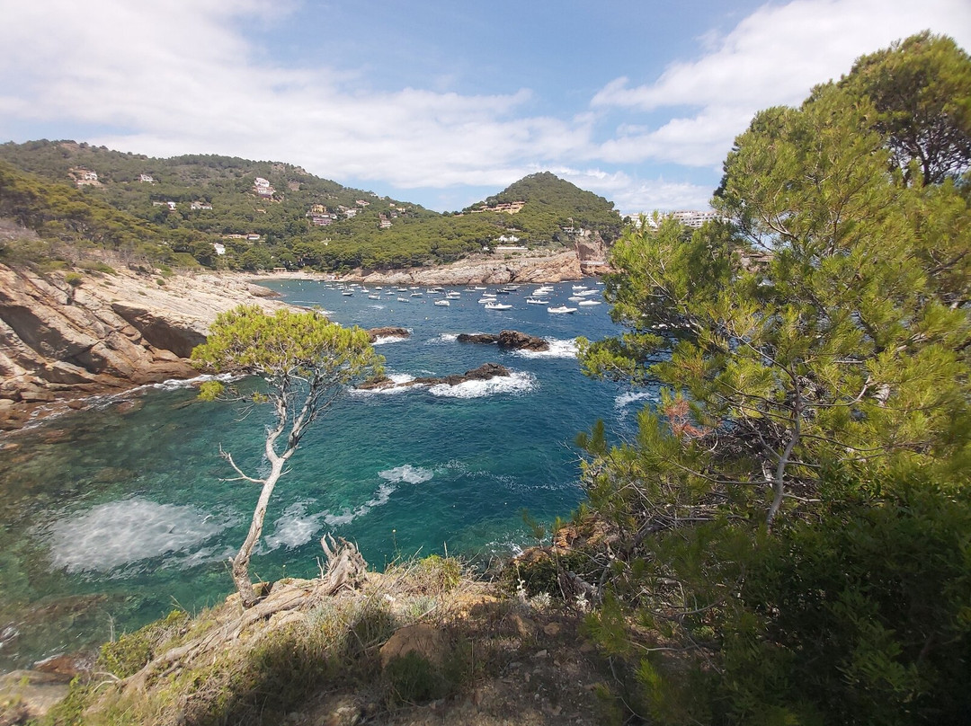 Cala d'Aiguafreda景点图片
