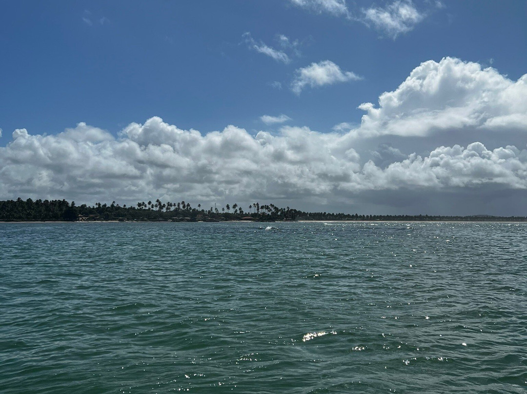 Carneiros Day Tour-Praia dos Carneiros必去景点