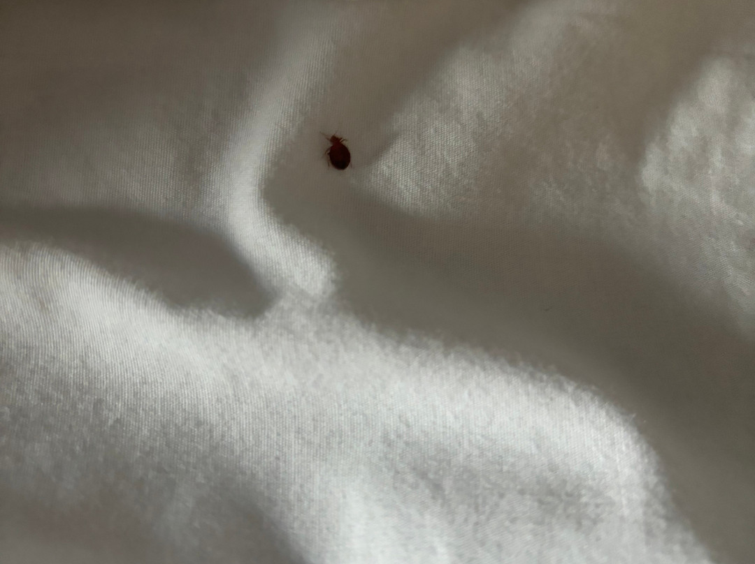 贝斯特韦斯特罗伯特招待酒店主图