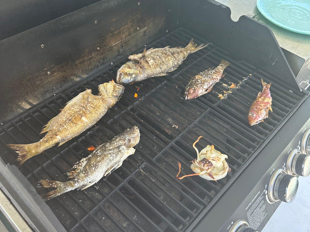 Zeppos Fishing Tours-纳乌萨必去景点