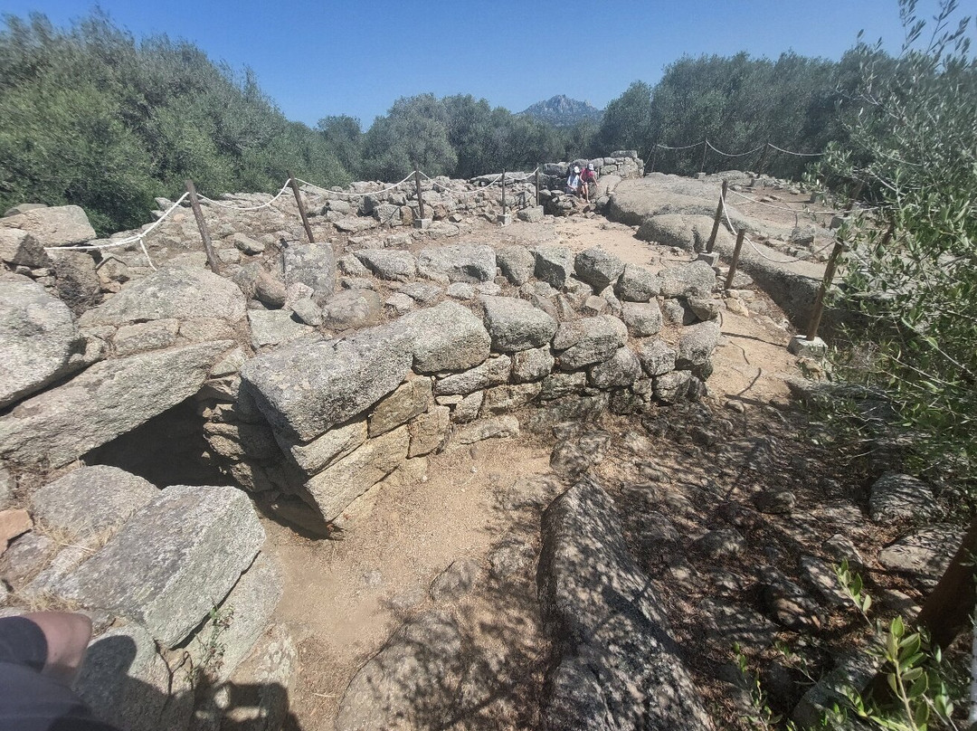 Nuraghe Albucciu-Arzachena必去景点