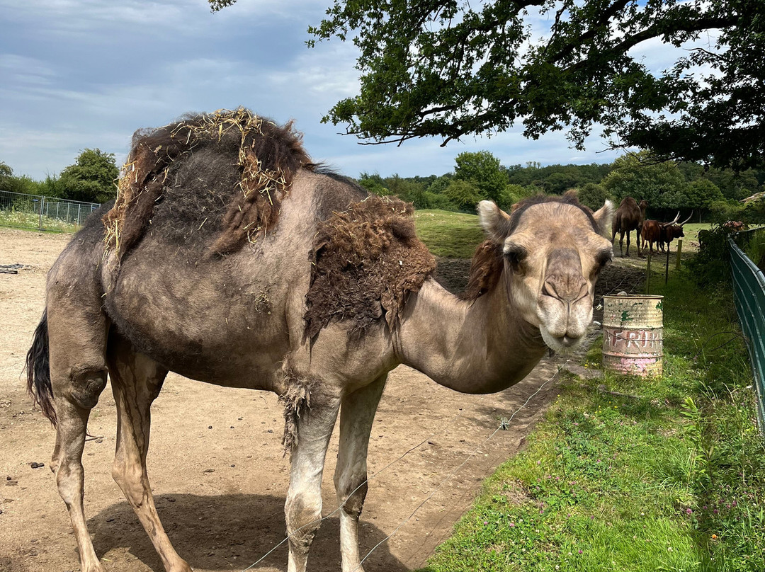 Tierpark Essehof-Lehre必去景点