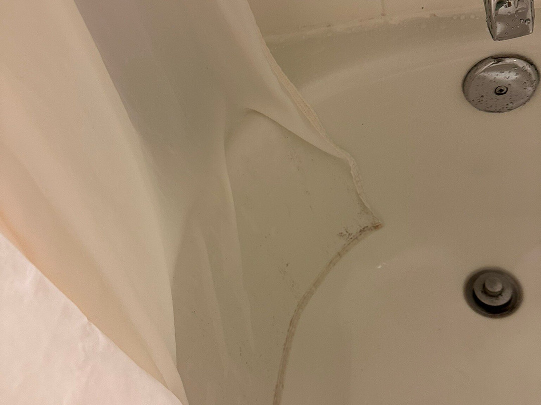 Residence Inn by Marriott Greenbelt主图