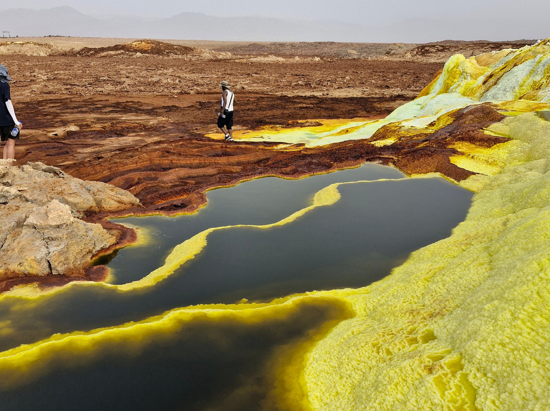 Bale Mountains Eco Tours Ethiopia景点图片