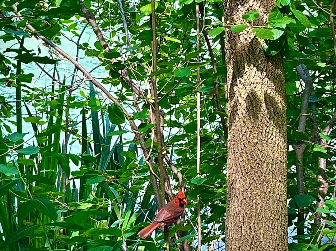 F.A. Seiberling Nature Realm-阿克伦必去景点