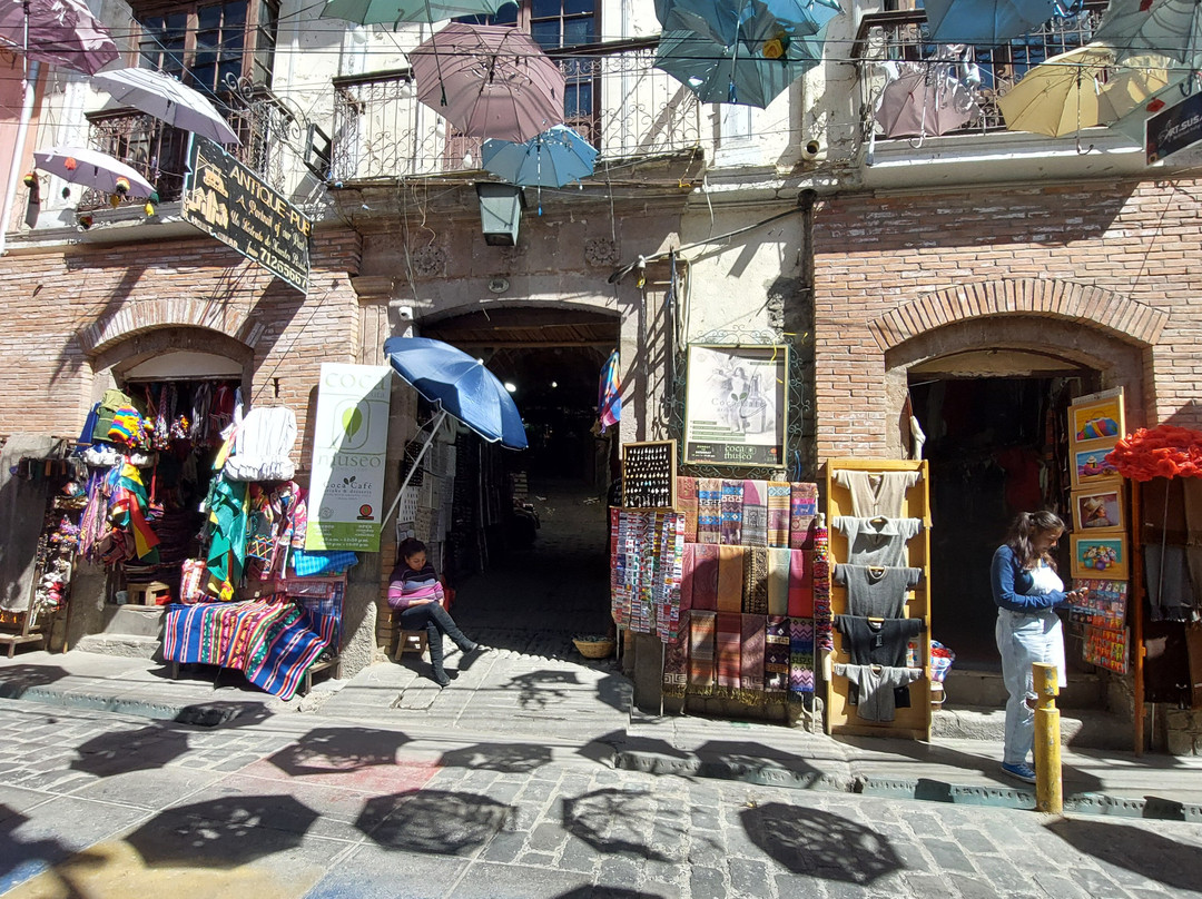 Museo de Coca-拉巴斯必去景点