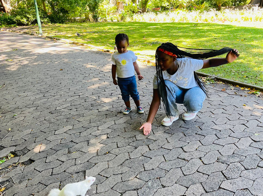 Go South Travel-开普敦中心区必去景点