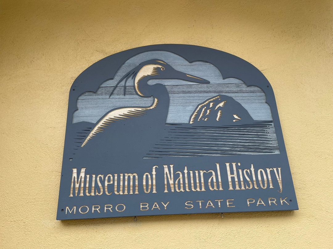 Museum of Natural History景点图片
