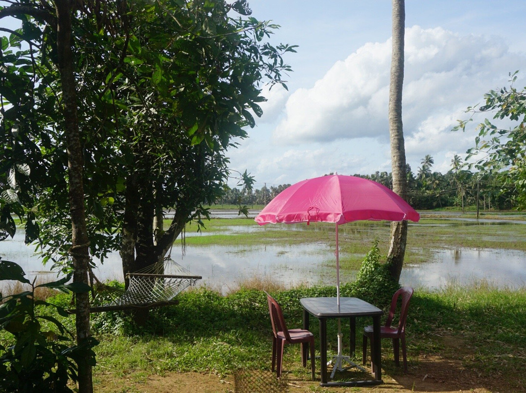 Gk's Riverview Homestay主图