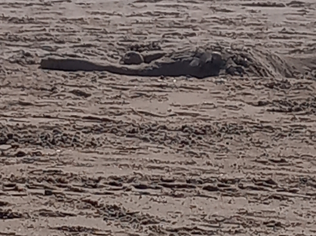 Playa de El Portil-韦尔瓦必去景点
