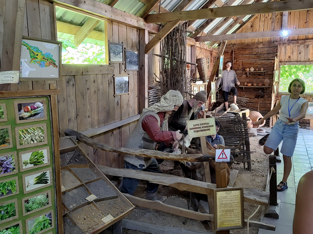 Ethnographic Museum "Borjgalo"景点图片