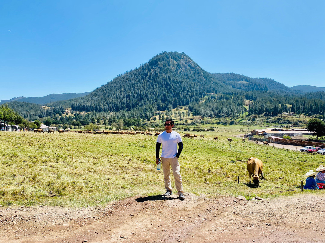 El Portal del Marqués主图